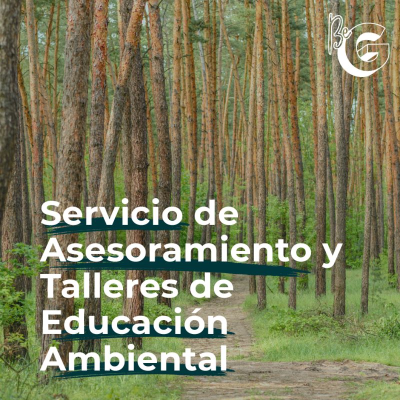 Servicio de Asesoramiento y Talleres de Educación Ambiental
