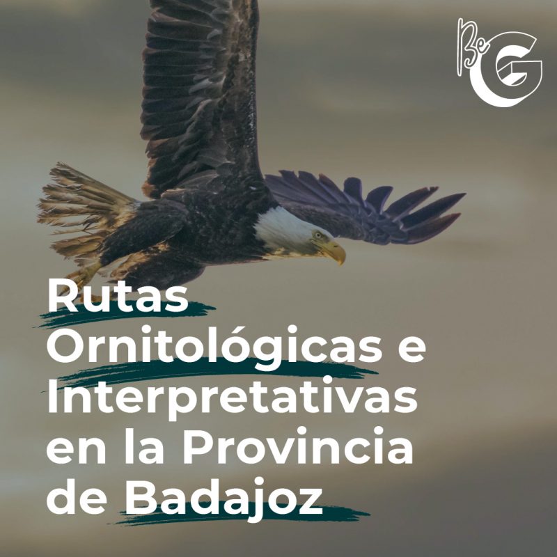 Rutas Ornitológicas e Interpretativas en la Provincia de Badajoz