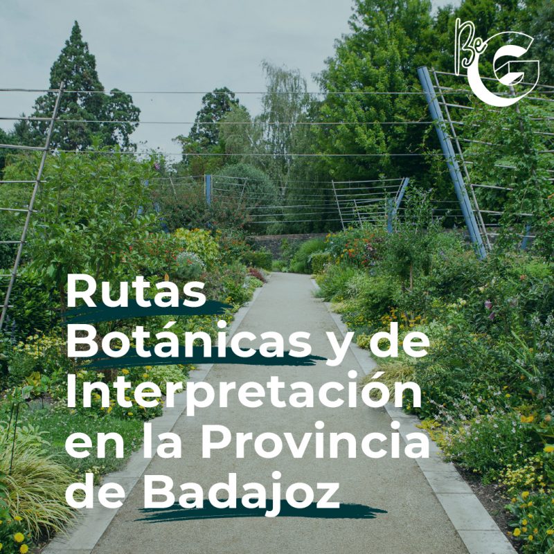 Rutas Botánicas y de Interpretación en la Provincia de Badajoz
